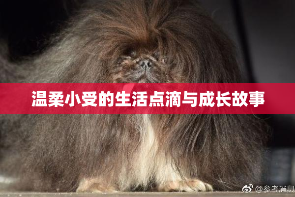 温柔小受的生活点滴与成长故事