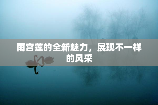 雨宫莲的全新魅力，展现不一样的风采