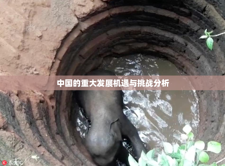 中国的重大发展机遇与挑战分析