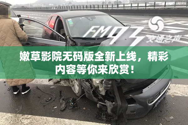 嫩草影院无码版全新上线，精彩内容等你来欣赏！