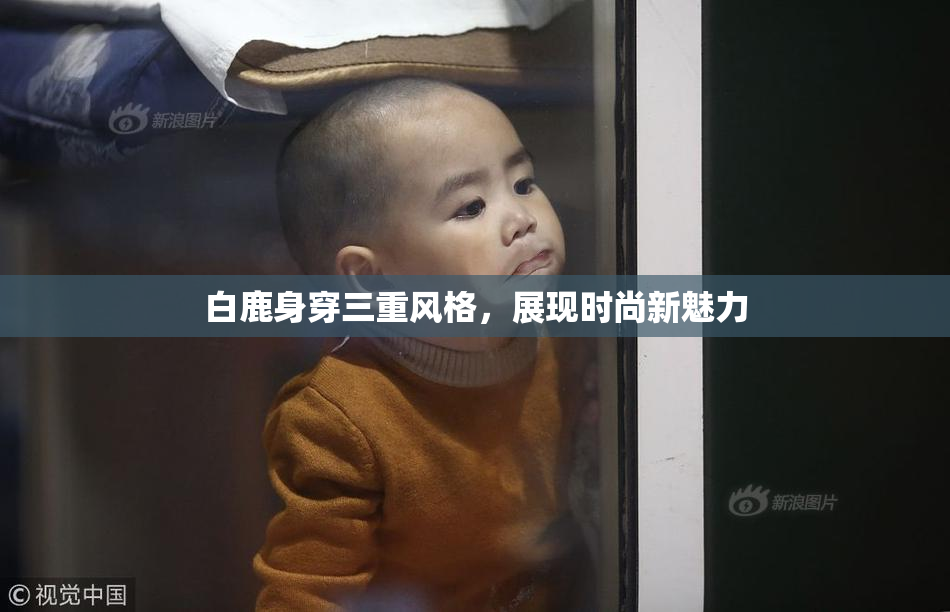 白鹿身穿三重风格，展现时尚新魅力