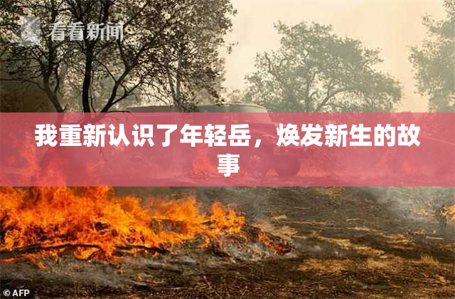 我重新认识了年轻岳，焕发新生的故事