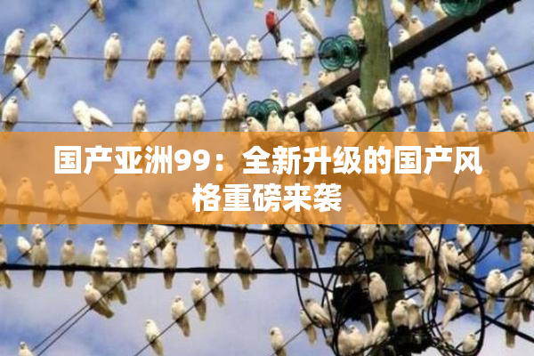 国产亚洲99：全新升级的国产风格重磅来袭