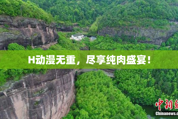 H动漫无重，尽享纯肉盛宴！