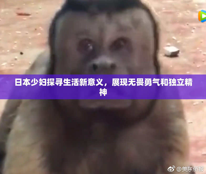 日本少妇探寻生活新意义，展现无畏勇气和独立精神