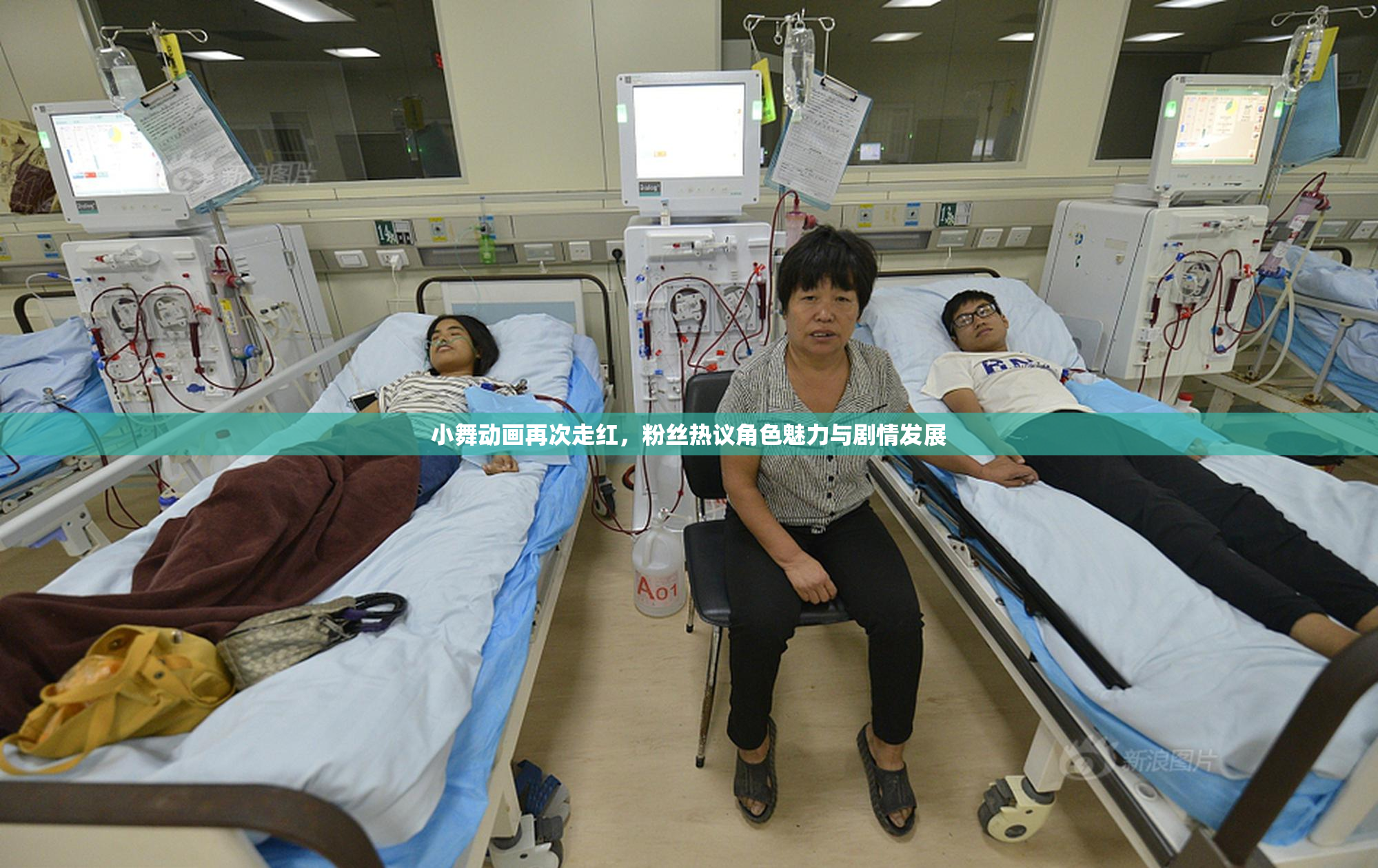 小舞动画再次走红，粉丝热议角色魅力与剧情发展