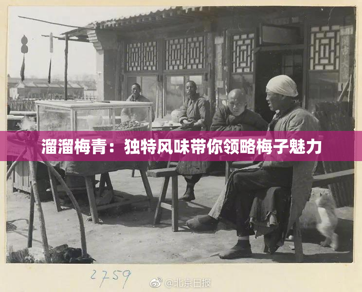 溜溜梅青：独特风味带你领略梅子魅力