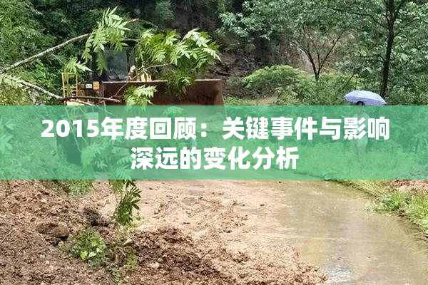 2015年度回顾：关键事件与影响深远的变化分析