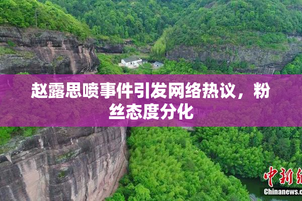 赵露思喷事件引发网络热议，粉丝态度分化