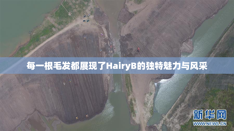 每一根毛发都展现了HairyB的独特魅力与风采