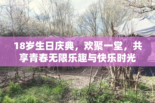 18岁生日庆典，欢聚一堂，共享青春无限乐趣与快乐时光