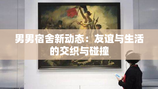 男男宿舍新动态：友谊与生活的交织与碰撞