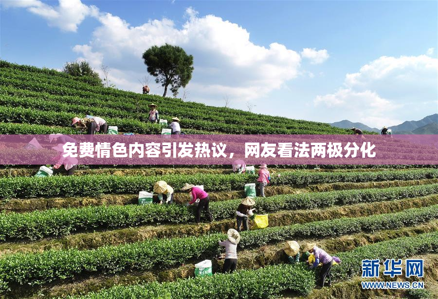 免费情色内容引发热议，网友看法两极分化