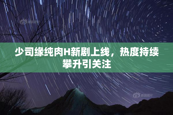 少司缘纯肉H新剧上线，热度持续攀升引关注