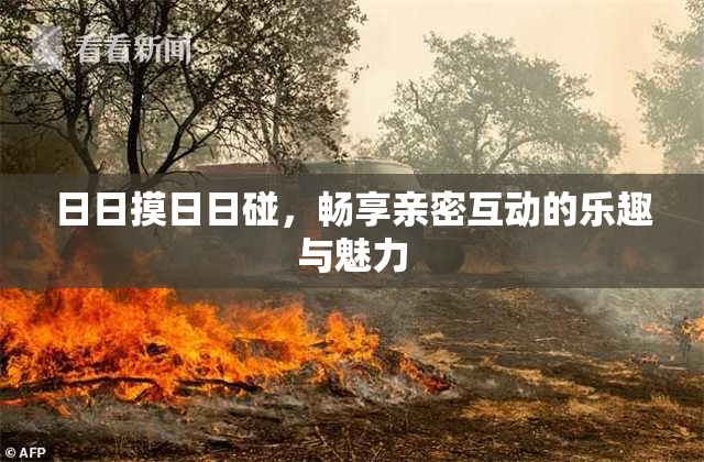 日日摸日日碰，畅享亲密互动的乐趣与魅力