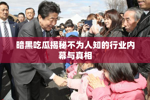 暗黑吃瓜揭秘不为人知的行业内幕与真相