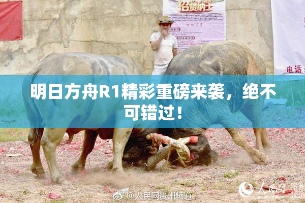 明日方舟R1精彩重磅来袭，绝不可错过！