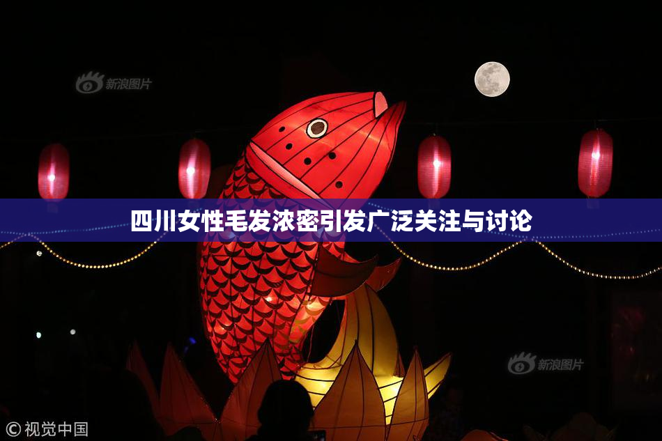 四川女性毛发浓密引发广泛关注与讨论