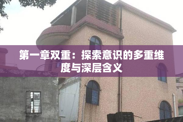 第一章双重：探索意识的多重维度与深层含义