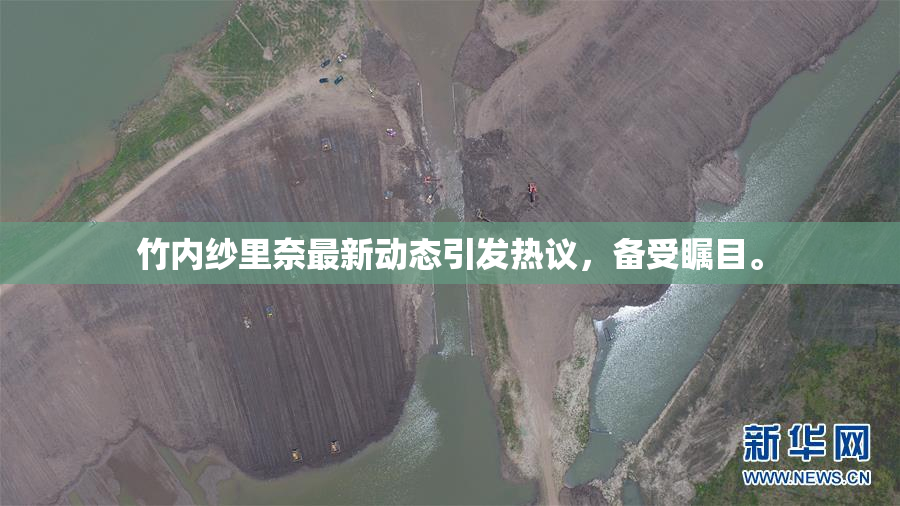 竹内纱里奈最新动态引发热议，备受瞩目。
