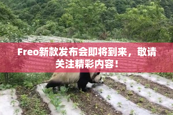 Freo新款发布会即将到来，敬请关注精彩内容！