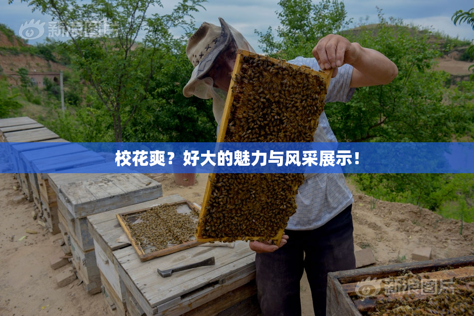 校花爽？好大的魅力与风采展示！