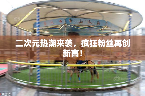 二次元热潮来袭，疯狂粉丝再创新高！