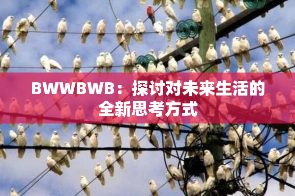 BWWBWB：探讨对未来生活的全新思考方式