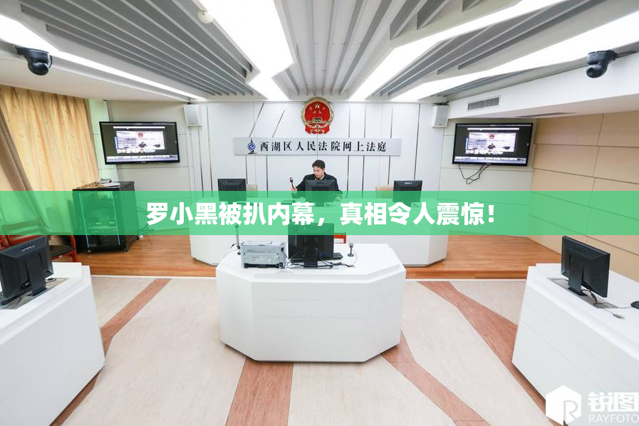 罗小黑被扒内幕，真相令人震惊！