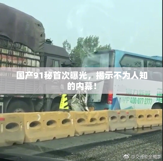 国产91秘首次曝光，揭示不为人知的内幕！