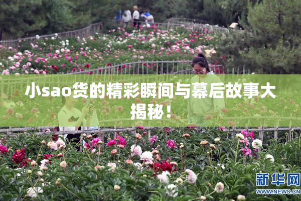 小sao货的精彩瞬间与幕后故事大揭秘！