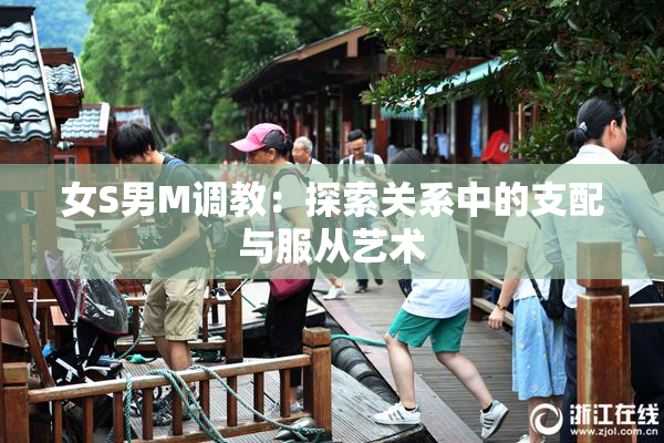 女S男M调教：探索关系中的支配与服从艺术