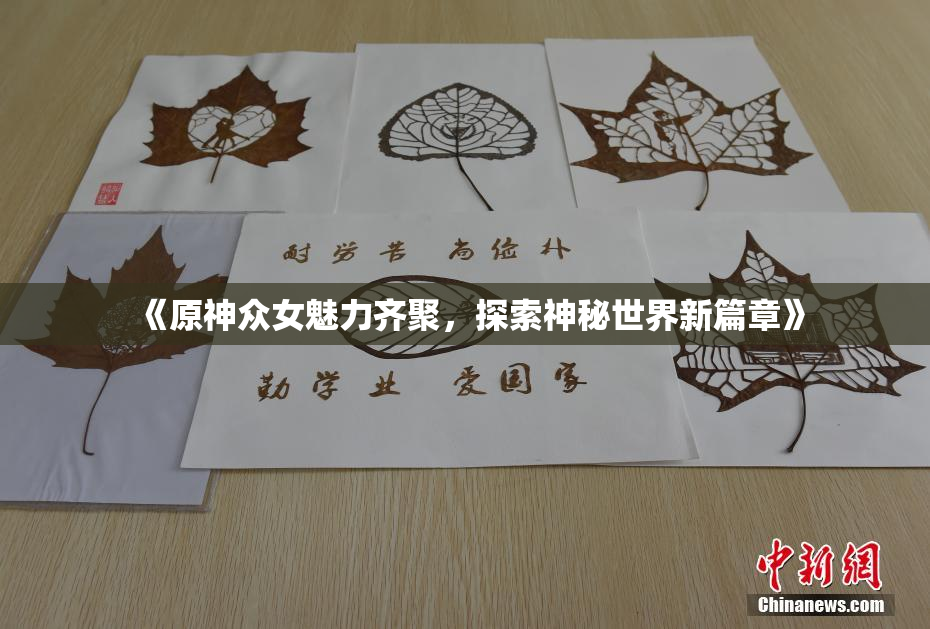 《原神众女魅力齐聚，探索神秘世界新篇章》