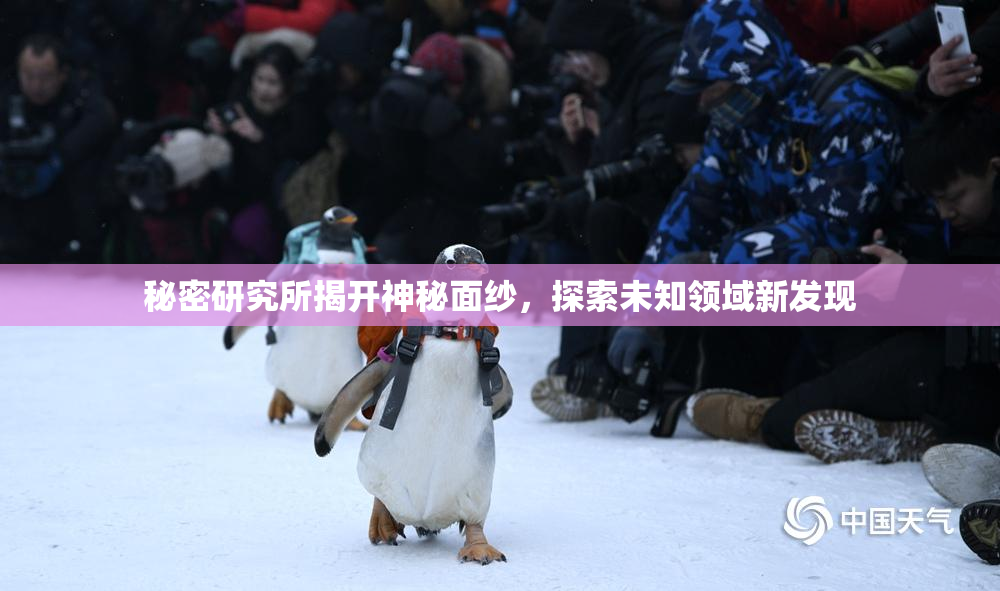 秘密研究所揭开神秘面纱，探索未知领域新发现