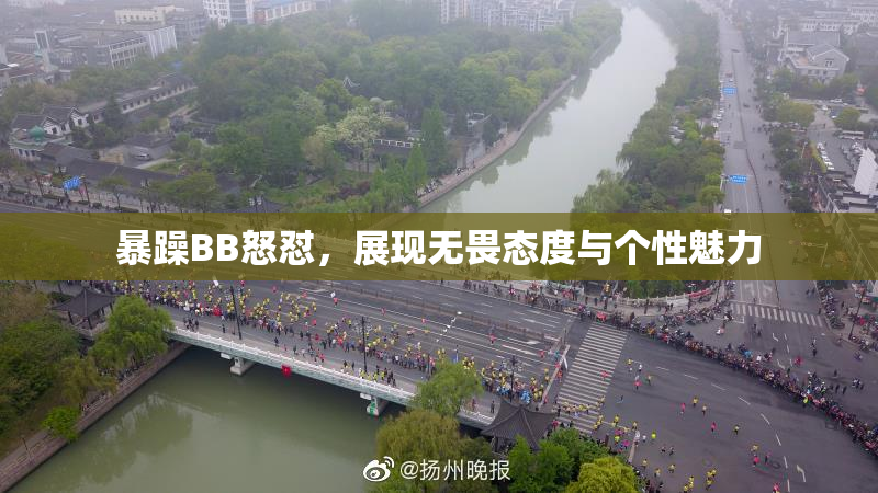 暴躁BB怒怼，展现无畏态度与个性魅力