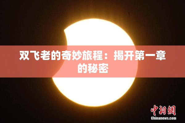 双飞老的奇妙旅程：揭开第一章的秘密