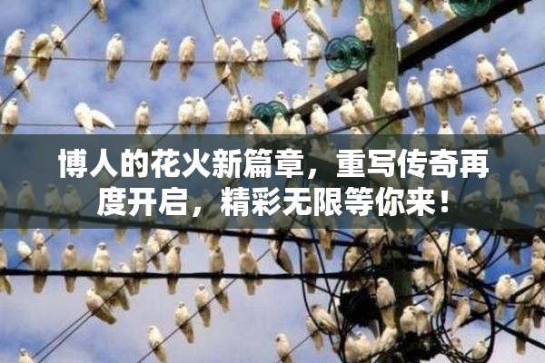 博人的花火新篇章，重写传奇再度开启，精彩无限等你来！