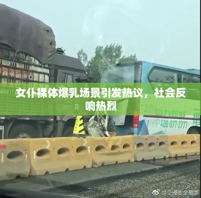 女仆裸体爆乳场景引发热议，社会反响热烈