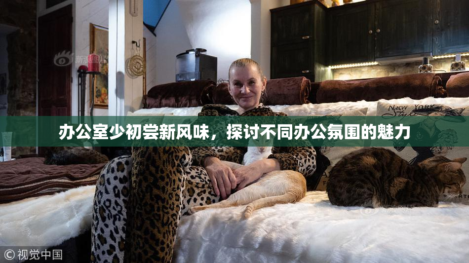 办公室少初尝新风味，探讨不同办公氛围的魅力