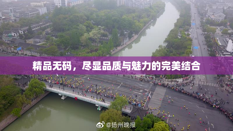 精品无码，尽显品质与魅力的完美结合