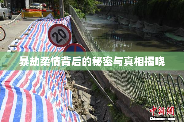 暴劫柔情背后的秘密与真相揭晓