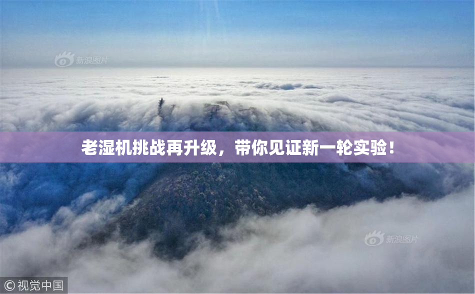 老湿机挑战再升级，带你见证新一轮实验！