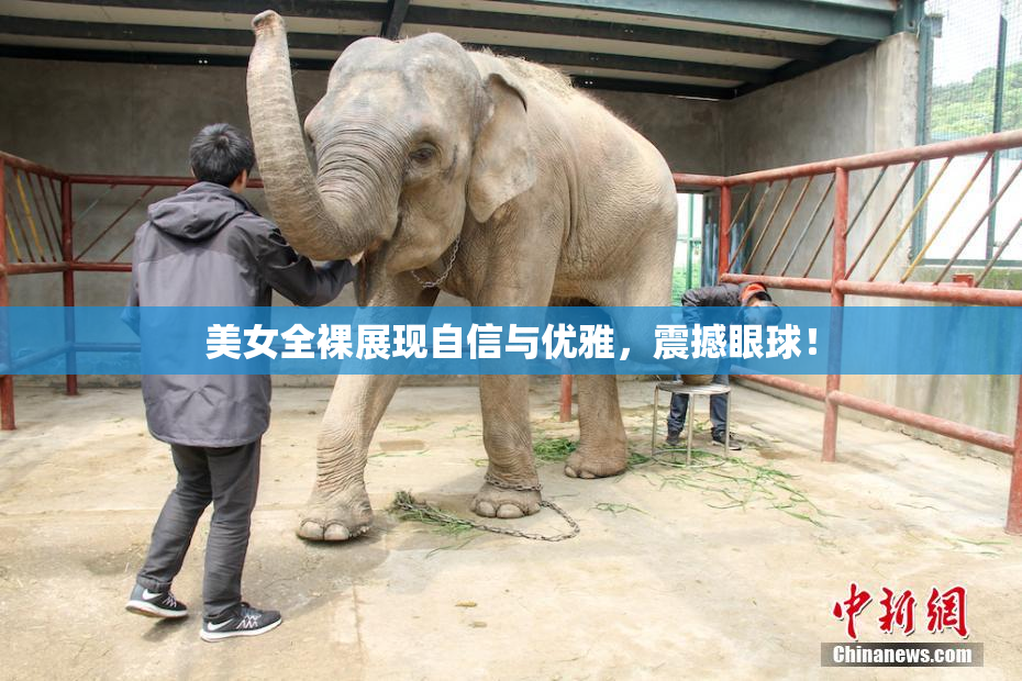美女全裸展现自信与优雅，震撼眼球！