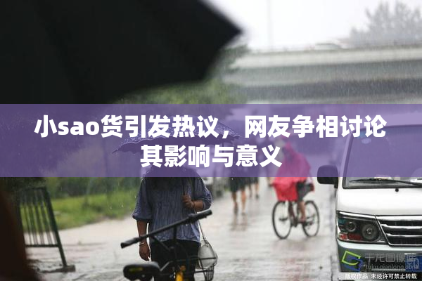 小sao货引发热议，网友争相讨论其影响与意义