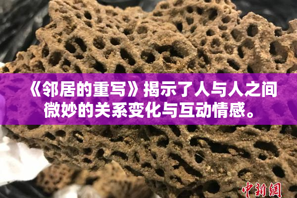 《邻居的重写》揭示了人与人之间微妙的关系变化与互动情感。
