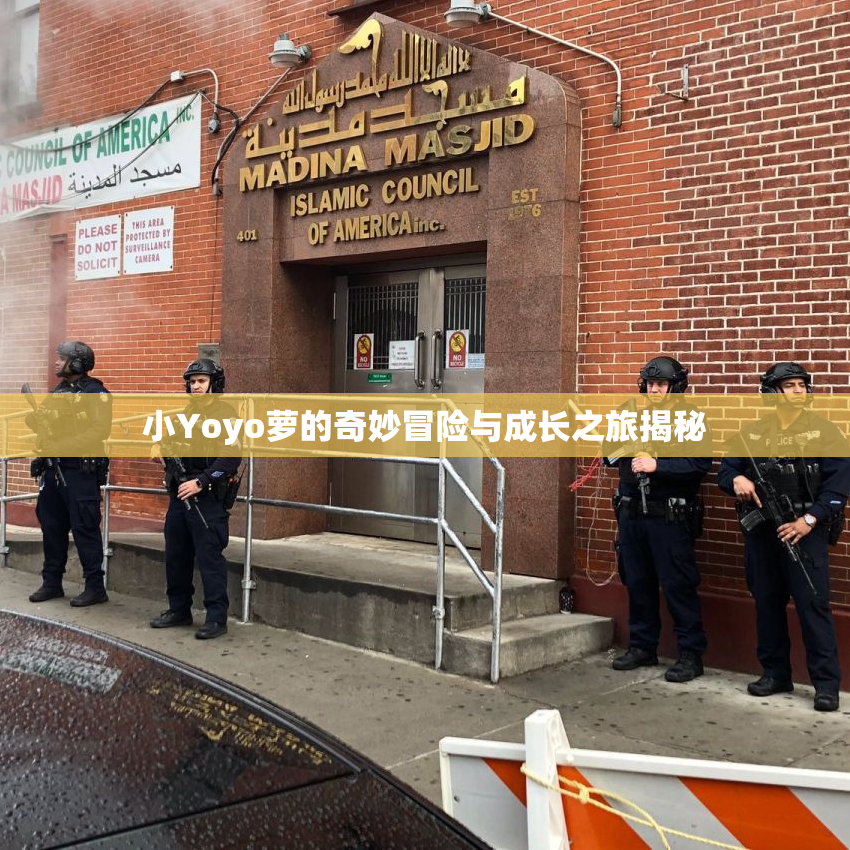 小Yoyo萝的奇妙冒险与成长之旅揭秘