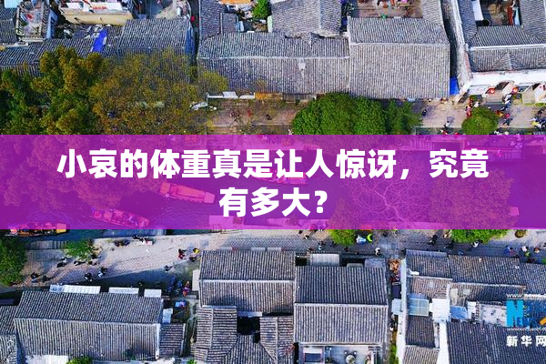 小哀的体重真是让人惊讶，究竟有多大？