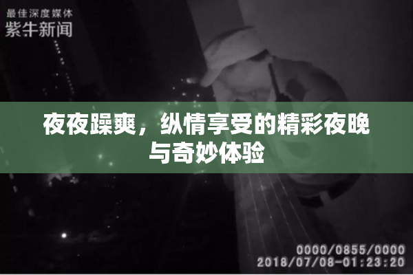 夜夜躁爽，纵情享受的精彩夜晚与奇妙体验