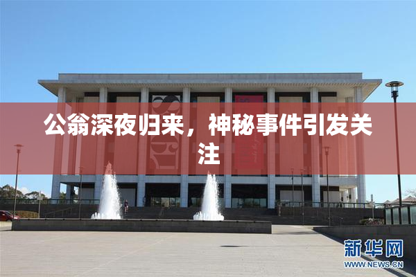 公翁深夜归来，神秘事件引发关注