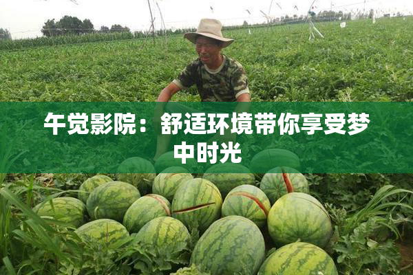 午觉影院：舒适环境带你享受梦中时光